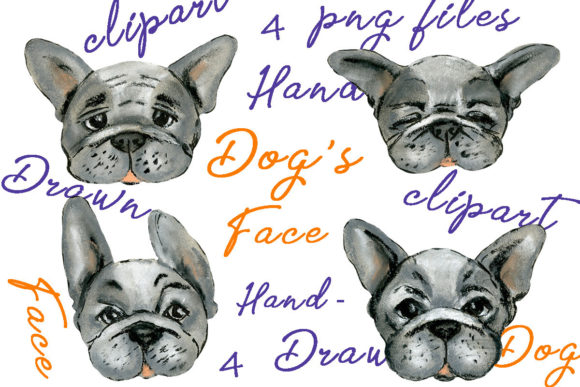 Dog s Face Hand-drawn Clipart Frenchies for Creative Projects
