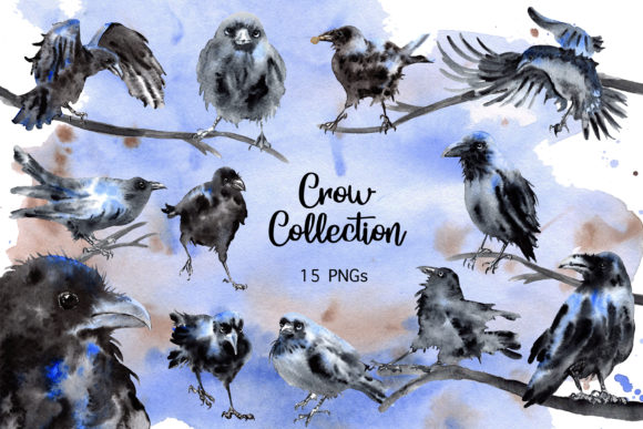 Watercolor Crow Raven Collection