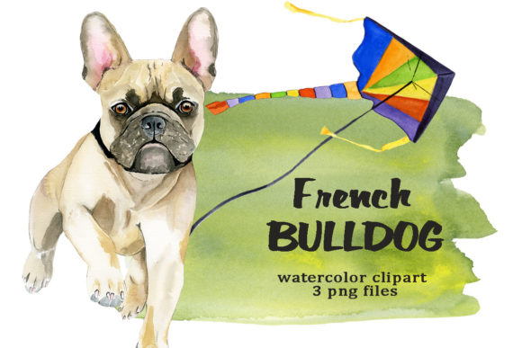 Watercolor Dog Clipart French Bulldog